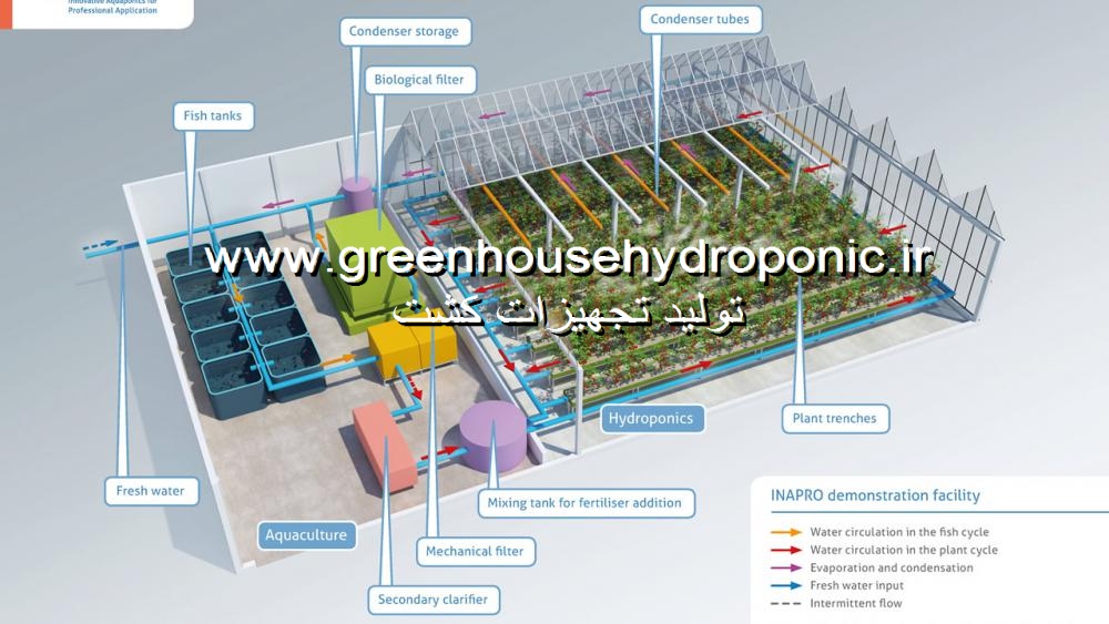 مشاوره و ارائه طرح توجیهی گلخانه هیدروپونیک